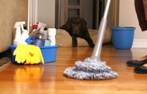house-cleaning