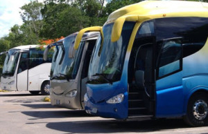 открыть автобусную компанию